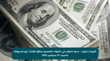تغيرات كبيرة.. سعر الدولار في البنوك المصرية يحقق قفزات غير مسبوقة السبت 27 سبتمبر 2025